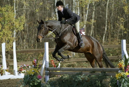 Magic Spell in Hunter ring at Gorsline Fall Classic Horse Show, Oct 2001